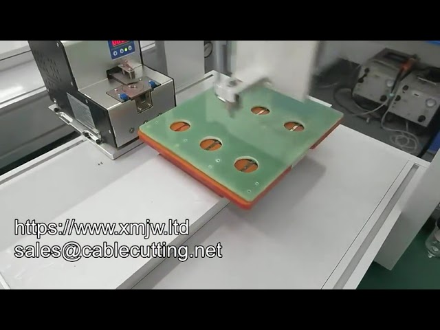 Desktop Automatic Screw Locking Robot | Auto Fastening & Screwdriving Machine