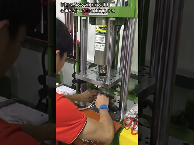 Vertical Injection Molding Machine for USB and Audio Plug Cable Heads